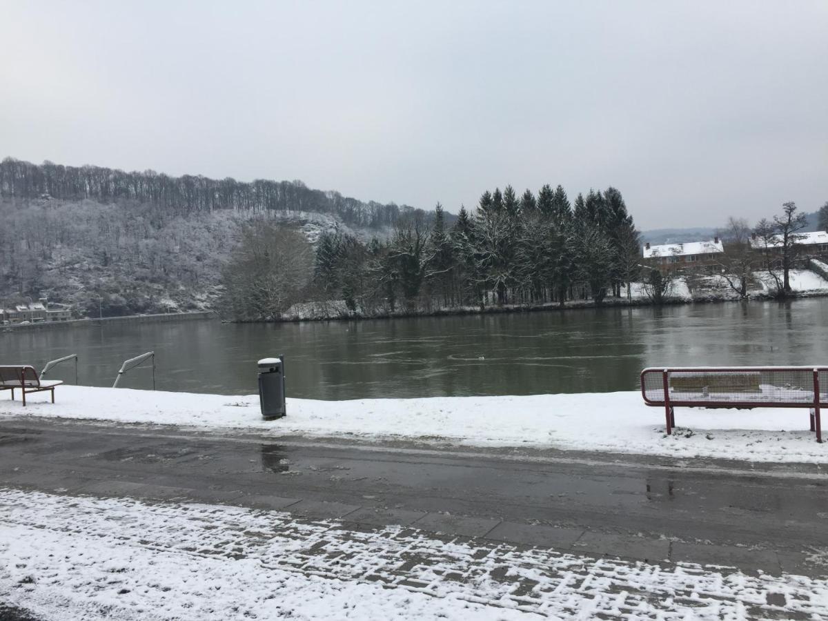 شقة Vue Sur Meuse بروفونديفيل المظهر الخارجي الصورة